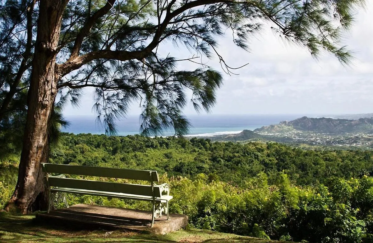 ブリッジタウンArdene Retreat On South Coastアパートメント アパート ブリッジタウン